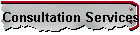 Consultation Services