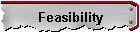 Feasibility