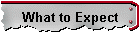 What to Expect