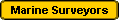 Marine Surveyors
